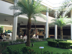 Bayshore Park (D16), Condominium #628956681